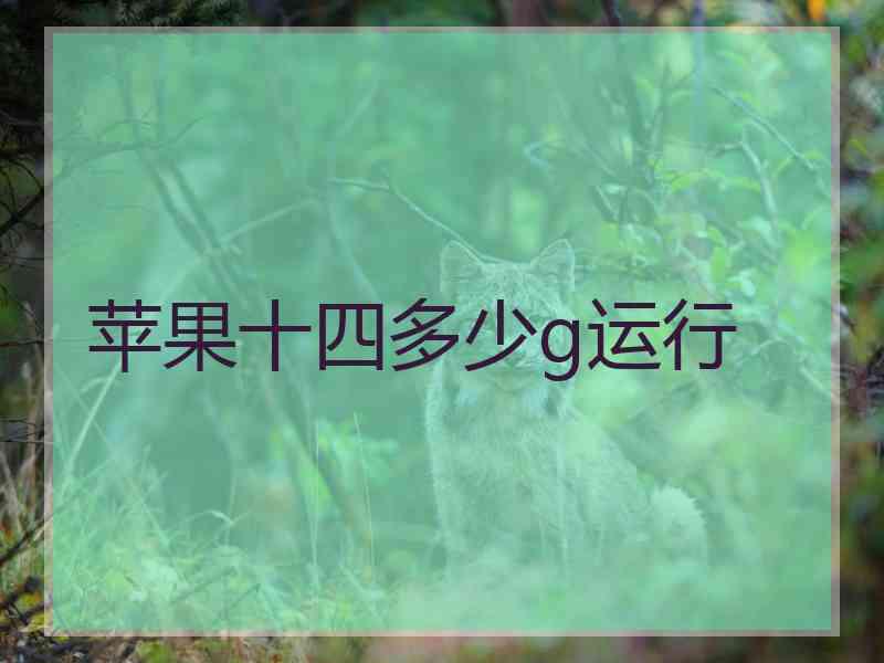 苹果十四多少g运行