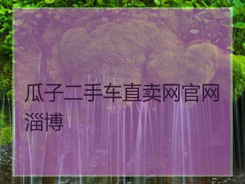 瓜子二手车直卖网官网淄博