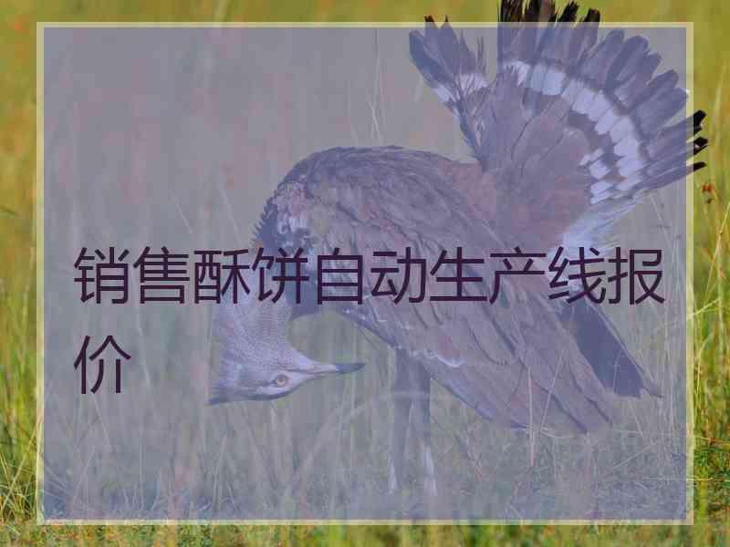 销售酥饼自动生产线报价