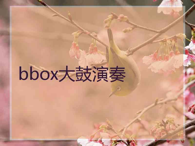 bbox大鼓演奏