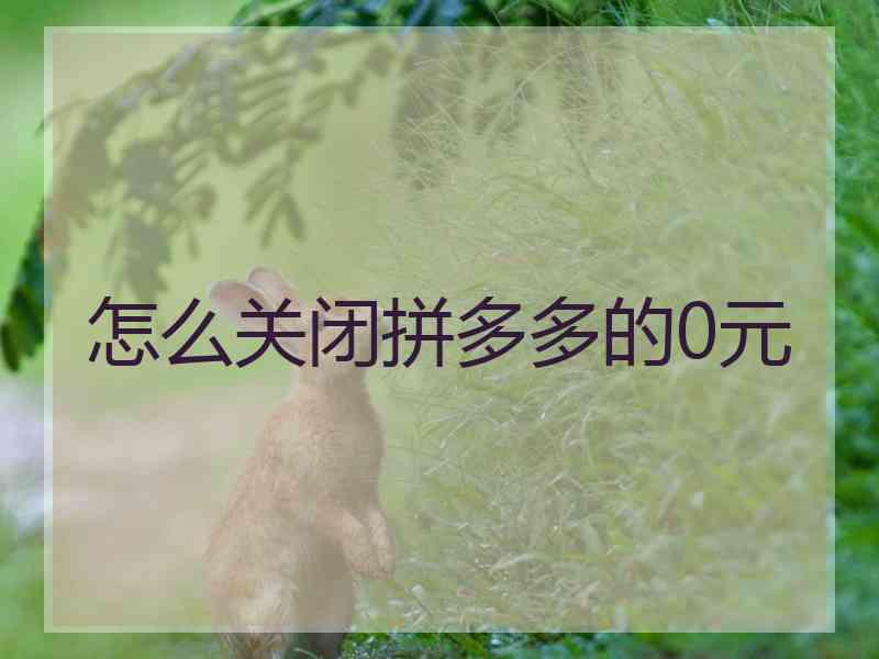 怎么关闭拼多多的0元