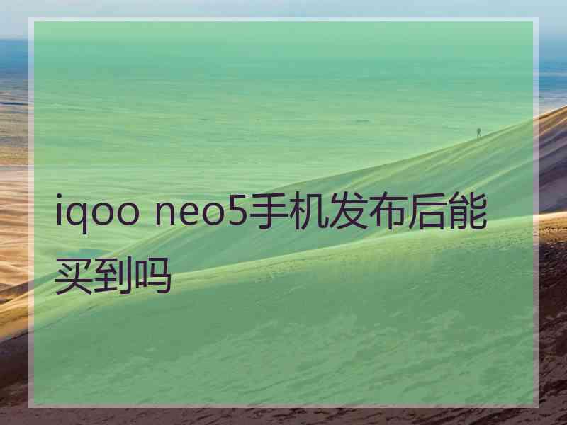 iqoo neo5手机发布后能买到吗