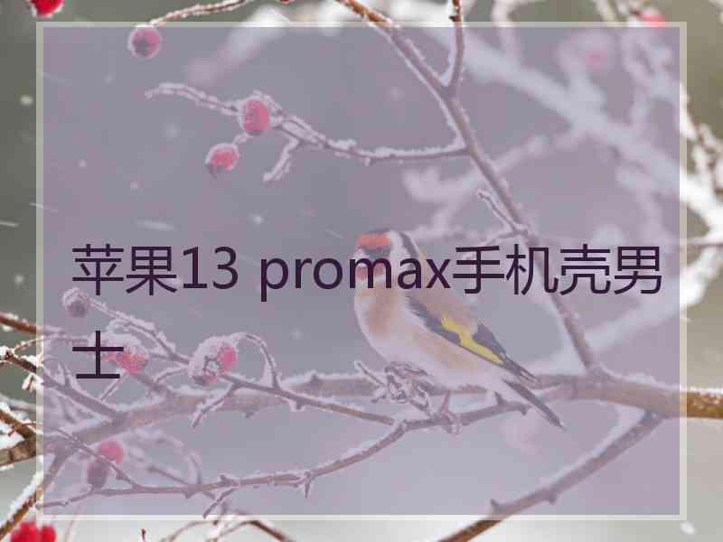 苹果13 promax手机壳男士