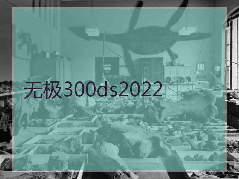 无极300ds2022