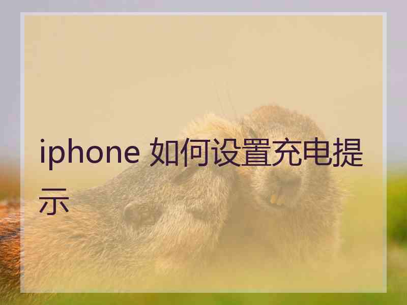 iphone 如何设置充电提示