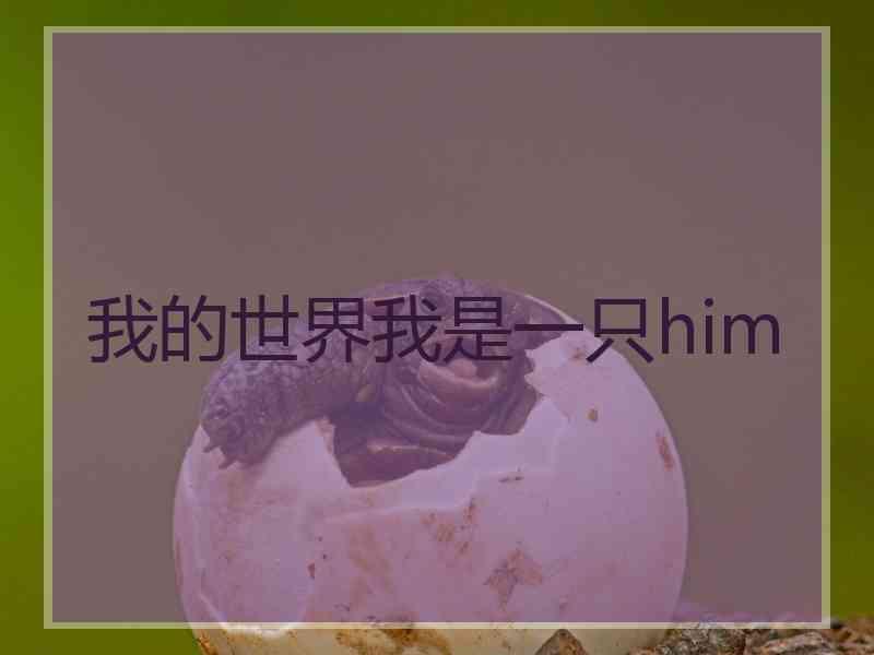 我的世界我是一只him