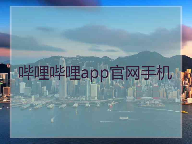 哔哩哔哩app官网手机