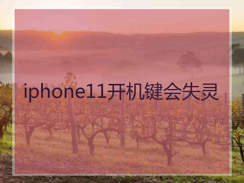 iphone11开机键会失灵