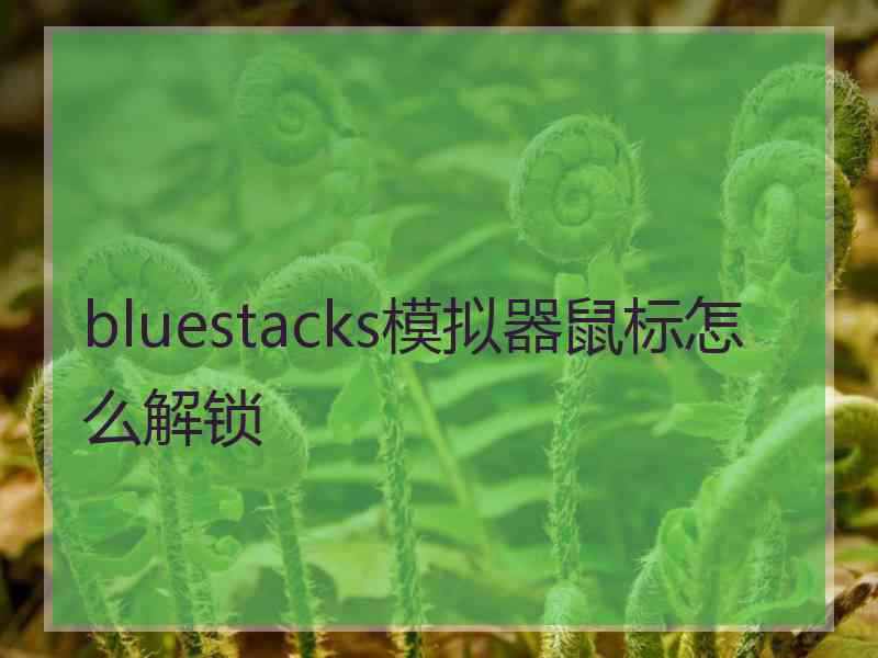 bluestacks模拟器鼠标怎么解锁