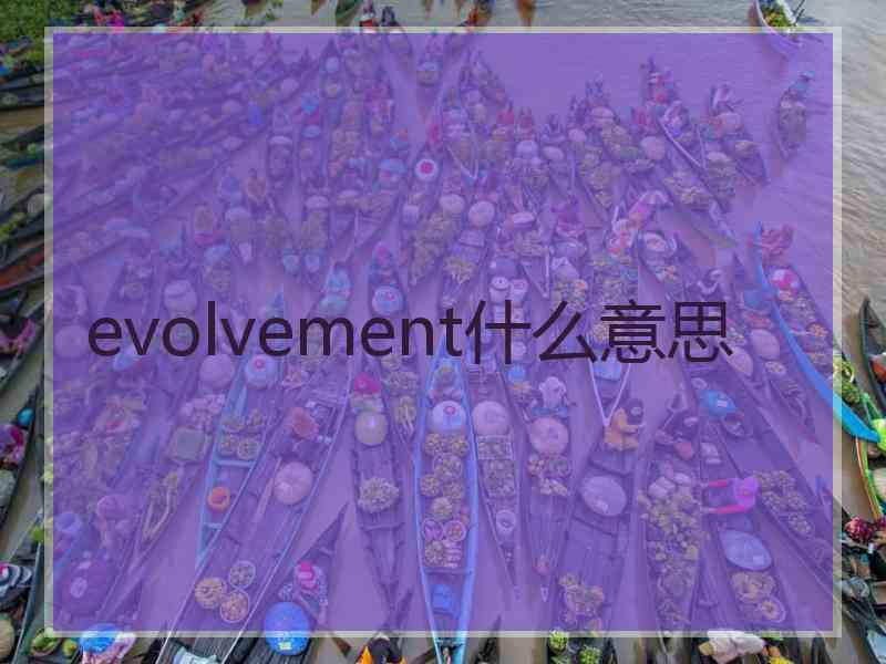 evolvement什么意思