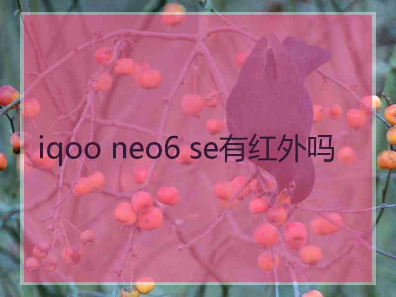 iqoo neo6 se有红外吗