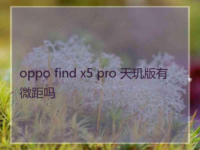 oppo find x5 pro 天玑版有微距吗