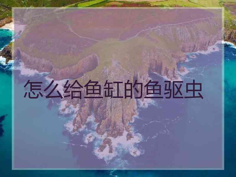 怎么给鱼缸的鱼驱虫