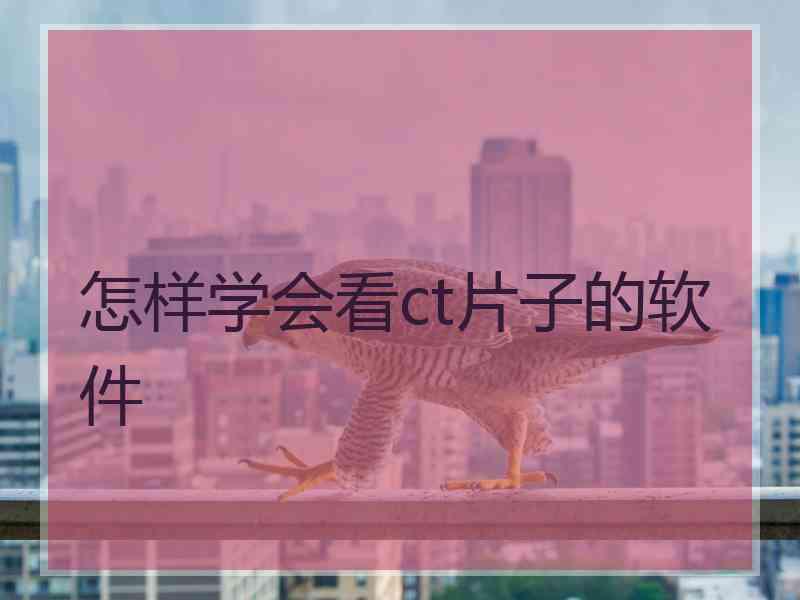 怎样学会看ct片子的软件