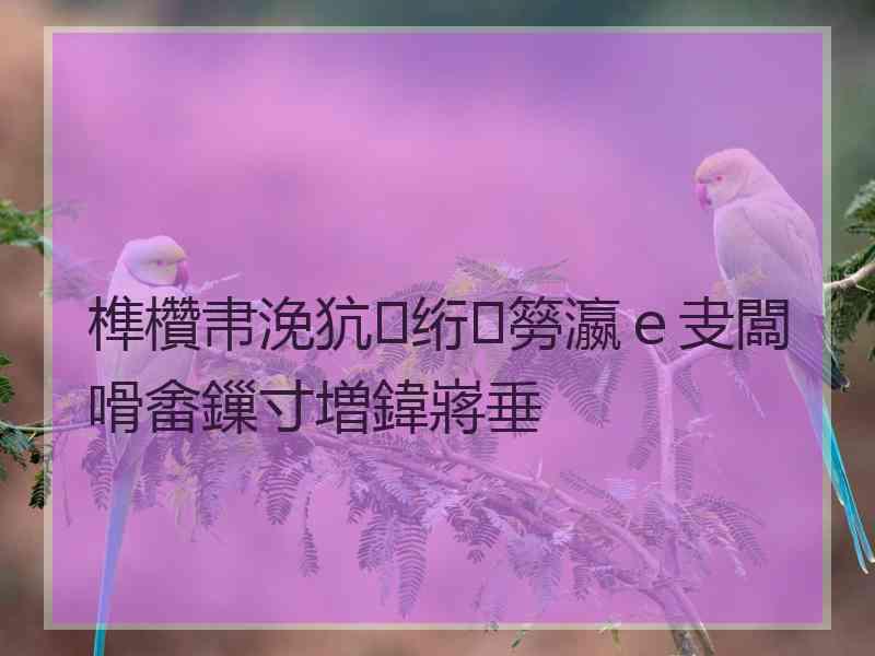 榫欑帇浼犺绗簩瀛ｅ叏闆嗗畬鏁寸増鍏嶈垂