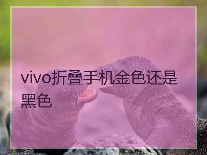 vivo折叠手机金色还是黑色