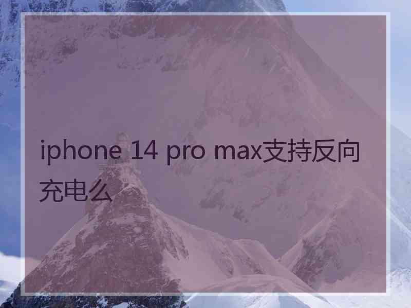 iphone 14 pro max支持反向充电么