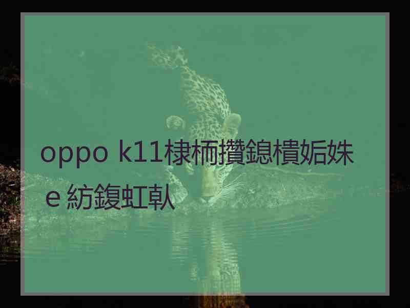 oppo k11棣栭攢鎴樻姤姝ｅ紡鍑虹倝