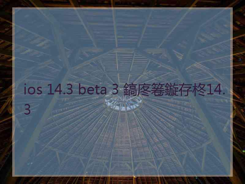 ios 14.3 beta 3 鎬庝箞鏇存柊14.3