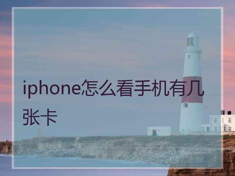 iphone怎么看手机有几张卡