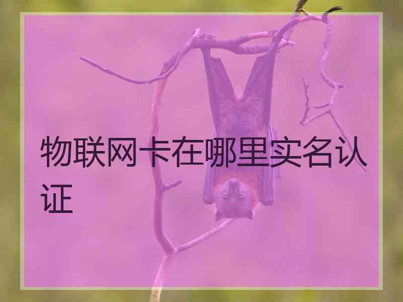 物联网卡在哪里实名认证