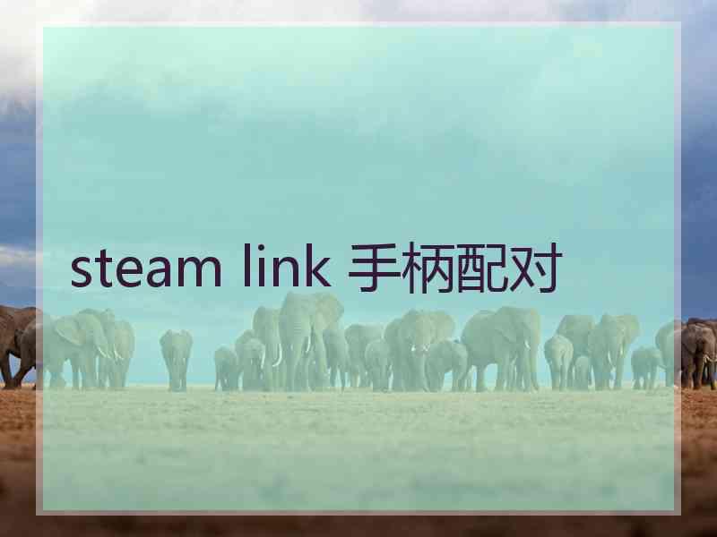 steam link 手柄配对