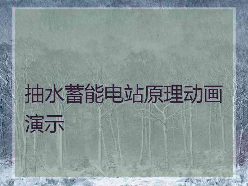 抽水蓄能电站原理动画演示