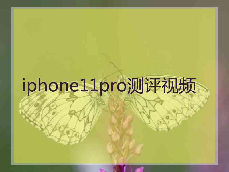 iphone11pro测评视频