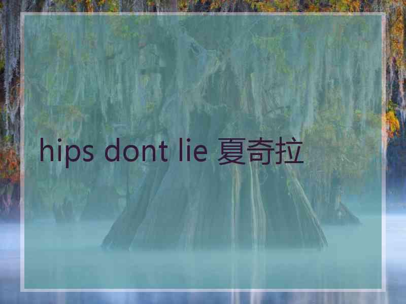 hips dont lie 夏奇拉