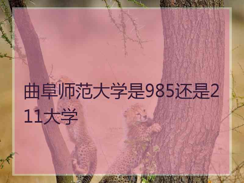 曲阜师范大学是985还是211大学