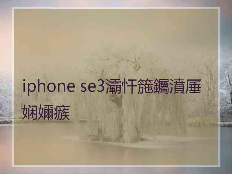 iphone se3灞忓箷钃濆厜娴嬭瘯