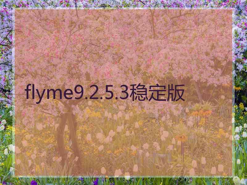 flyme9.2.5.3稳定版