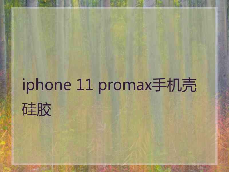 iphone 11 promax手机壳硅胶