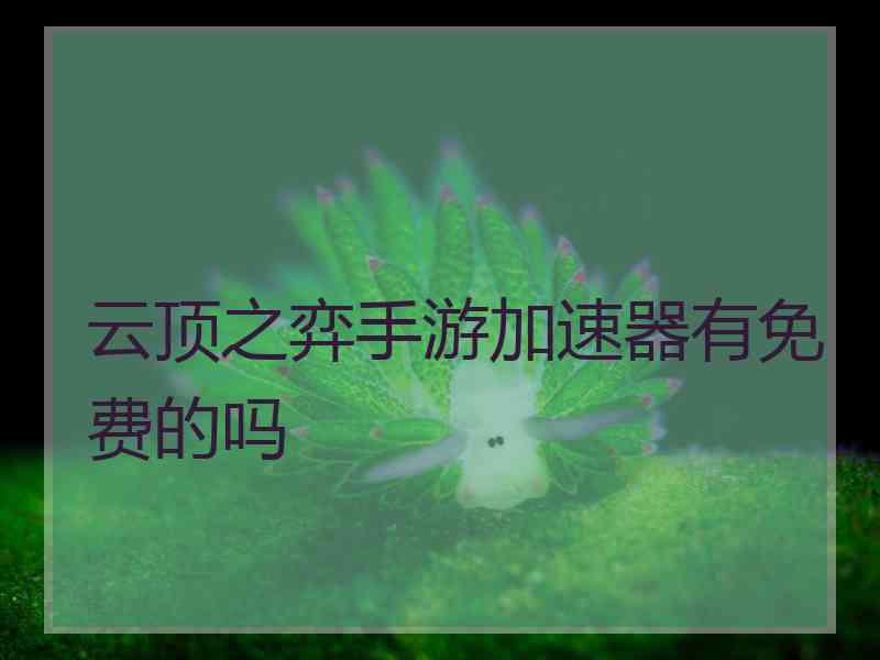 云顶之弈手游加速器有免费的吗