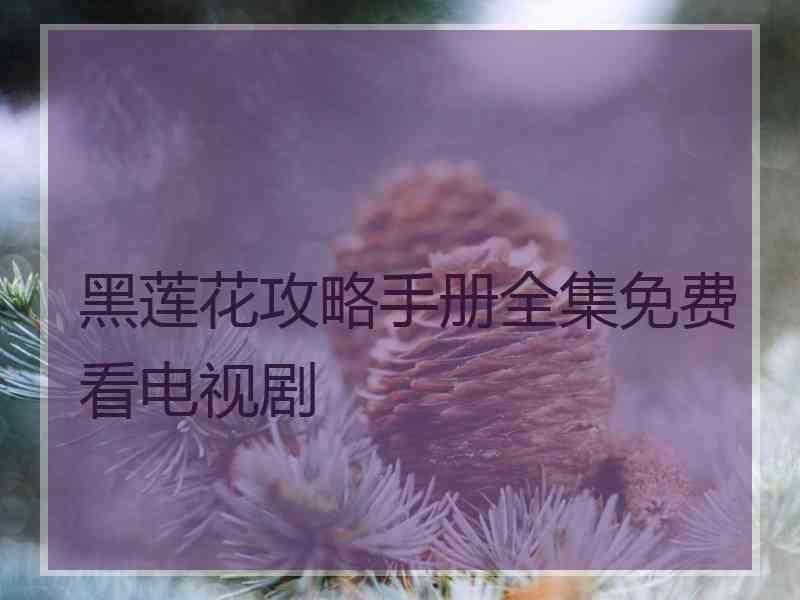 黑莲花攻略手册全集免费看电视剧