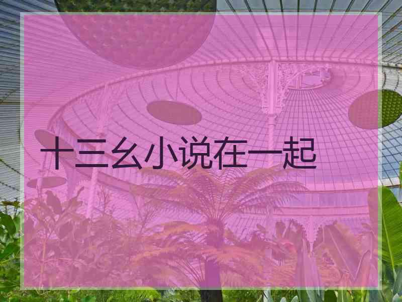 十三幺小说在一起