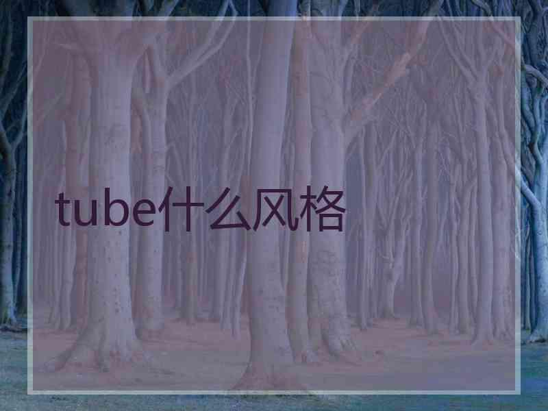 tube什么风格