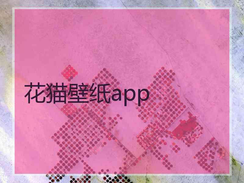 花猫壁纸app