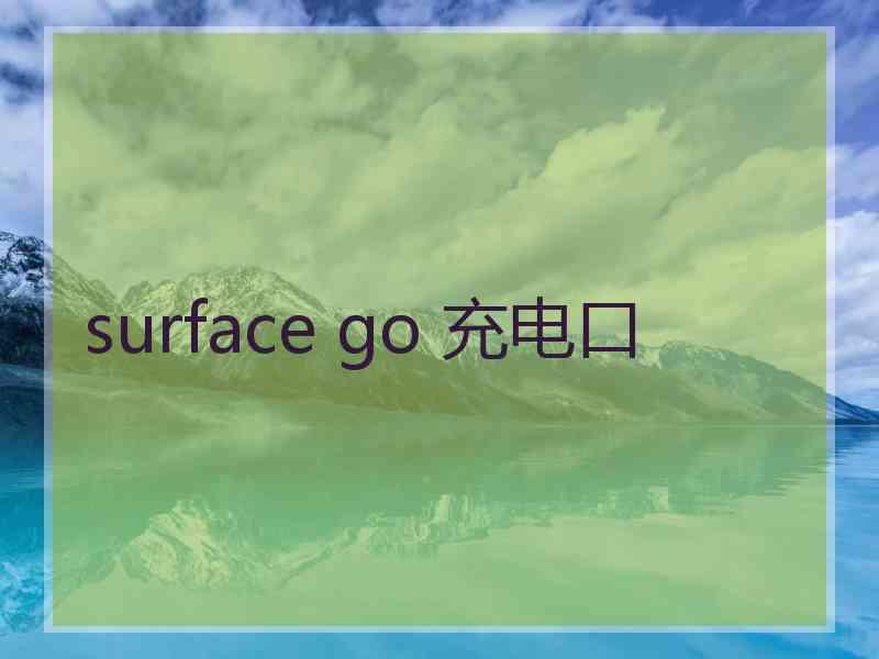 surface go 充电口