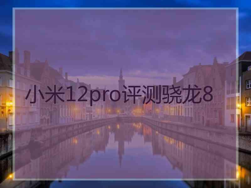 小米12pro评测骁龙8