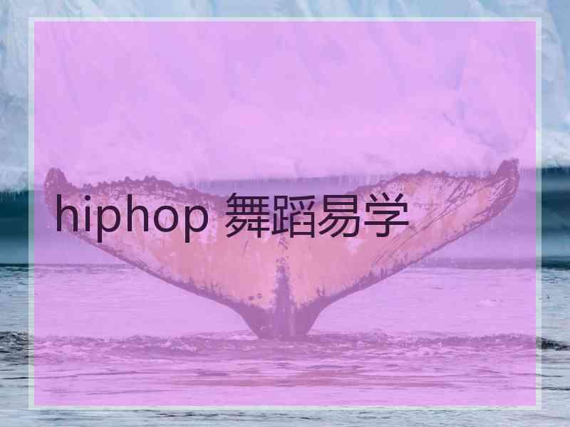 hiphop 舞蹈易学