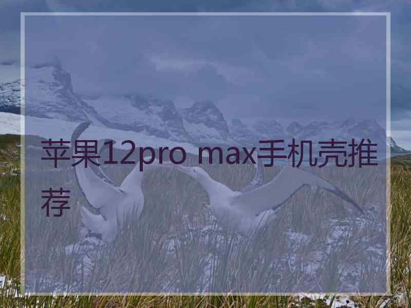 苹果12pro max手机壳推荐