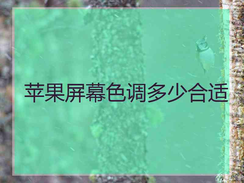 苹果屏幕色调多少合适