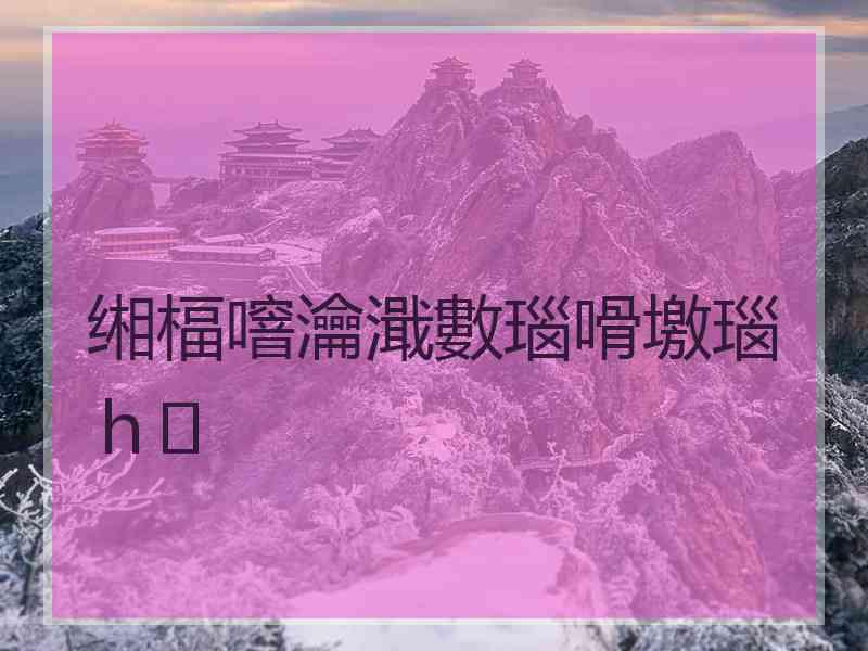 缃楅噾瀹濈數瑙嗗墽瑙ｈ