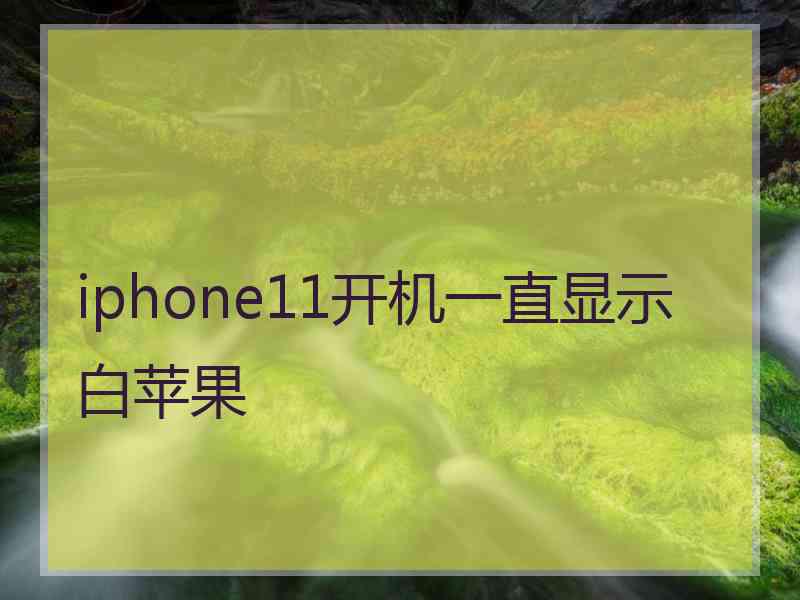 iphone11开机一直显示白苹果