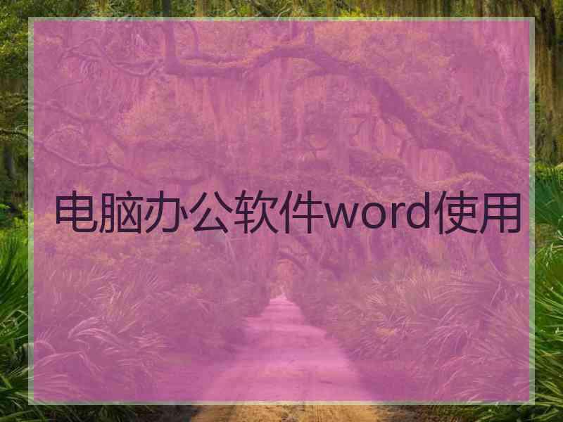 电脑办公软件word使用