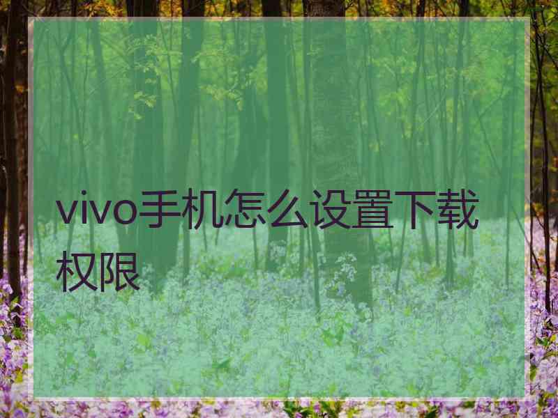 vivo手机怎么设置下载权限