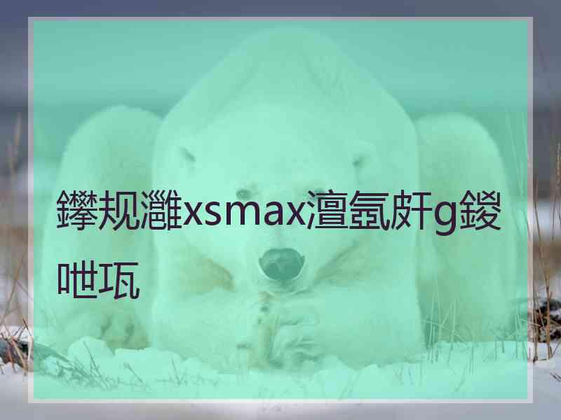 鑻规灉xsmax澶氬皯g鍐呭瓨