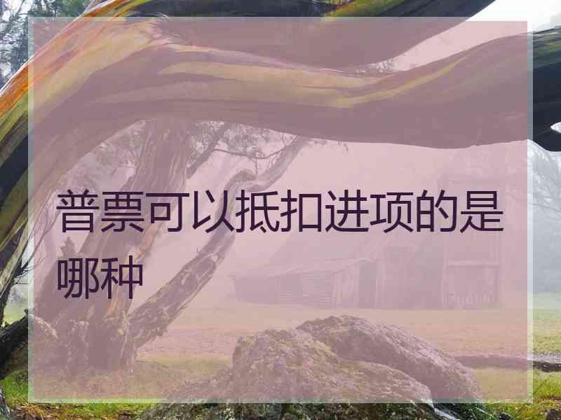 普票可以抵扣进项的是哪种