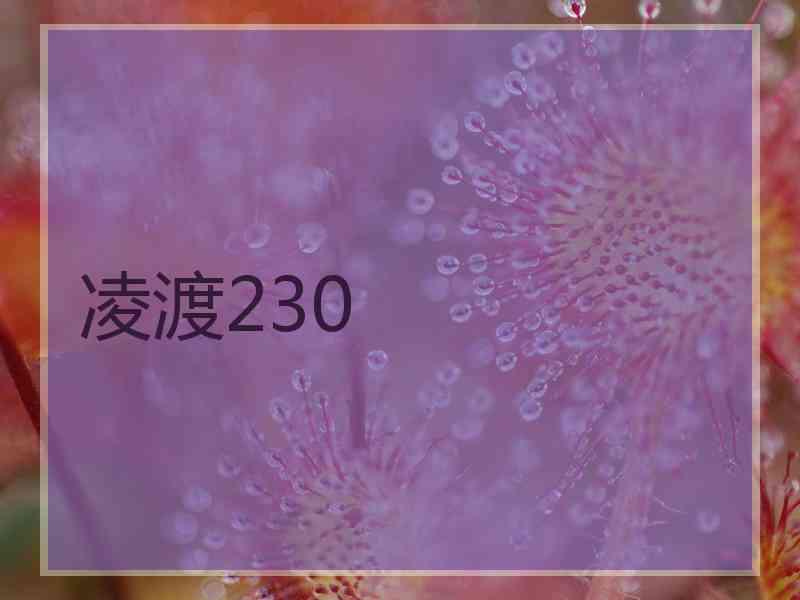 凌渡230